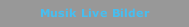 Musik Live Bilder